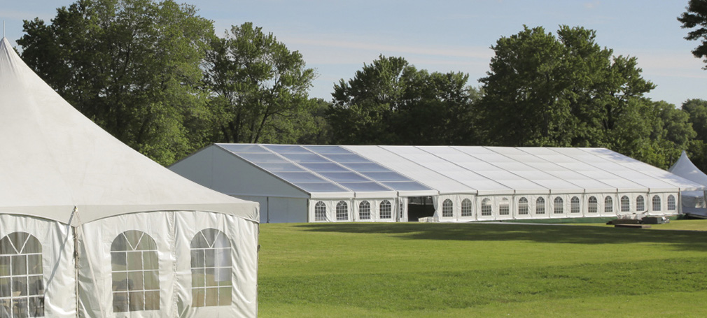 Barnum professionnel