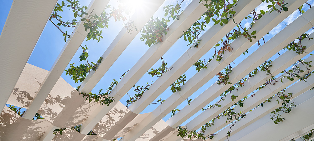 Pergola Lamellendach