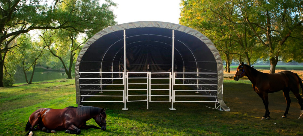 Rundbuehal til heste