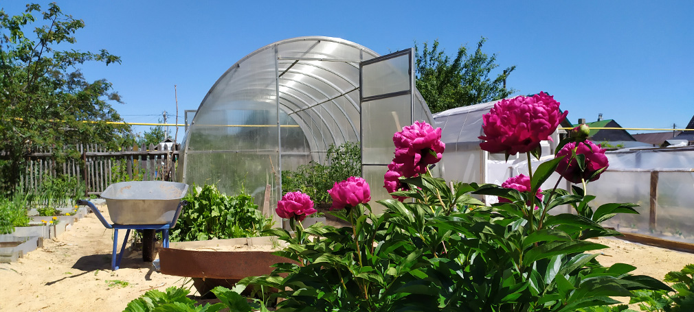 Serre per orto robuste