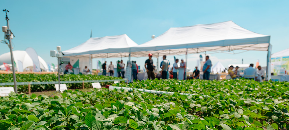 Tonnelle pliante aluminium