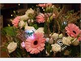 LED Floralytes (30 gab), DIA 3cm, daudzkrasaina