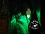 Luci LED per lanterne di carta, 20 pezzi, Verde SOLO 9 SET DISPONIBILI