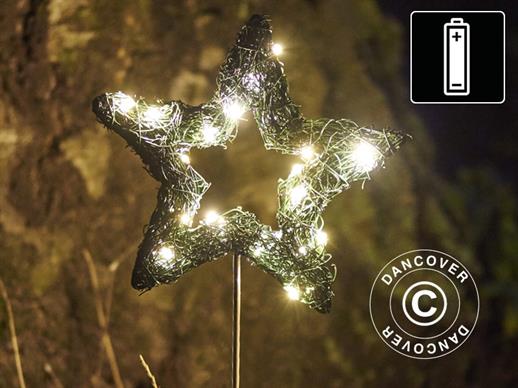 LED Fairy lights, Star, Small, Garden, 16 cm, Green/Warm White, 2 pcs.