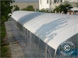 Pool cover tunnel, foldable, 6x8.24x2.7 m, White/Transparent