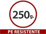 Telo 5x8m, PE 250g/m², Traslucido
