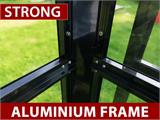 Orangery/greenhouse Glass 19 m², 5.14x3.71x3.15 m w/Base and cresting, Black