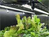 Älykasvihuone/idätyslaatikko polykarbonaatti Sprout S14 4-Season, Harvst, 1,25x0,5x0,9m, Musta