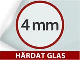Växthus glas 3x4,87x2,6m med bas och takdekoration, 14,61m², Svart