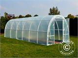 Polytunnel Greenhouse 140, 2.2x6x1.9 m, 13.2 m², Transparent