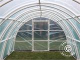 Polytunnel Greenhouse 140, 3x8.4x1.9 m, 25.2 m², Transparent