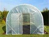 Polytunnel Greenhouse 120, 3x6x2.4 m, 18 m², Transparent
