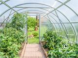 Greenhouse Polycarbonate, Strong 12 m², 3x4 m, Silver