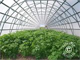 Commercial greenhouse 6 mm polycarbonate TITAN Arch 196, 31.5 m², 7.5x4.2 m, Silver