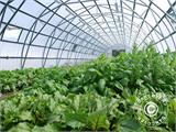 Commercial greenhouse 10 mm polycarbonate TITAN Arch 196, 31.5 m², 7.5x4.2 m, Silver