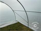 Polytunnel Greenhouse 4x6 m, 24 m², 150 Mic, Translucent