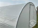 Polytunnel drivhus 4x8m, 32m², 150Mic, Transparent