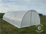 Polytunnel Greenhouse 4x10 m, 40 m², 150 Mic, Translucent