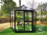 Orangery Hexagonal Glass ZEN 7.99 m², 3.2x2.83x2.75 m, w/base, Black