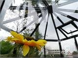 Ziemas dārzs Sešstūrains Stikls ZEN 7,99m², 3,2x2,83x2,75m, ar pamatni, Melns