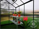 Greenhouse Polycarbonate ZEN 6.68 m², 1.84x3.63x1.93 m, Green