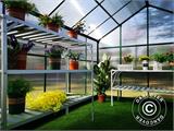 Greenhouse Polycarbonate ZEN 7.45 m², 2.45x3.04x2.1 m, Green
