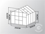Gewächshaus aus Glas/Polycarbonat ZEN 6,25m², 2,5x2,5x2,28m, Schwarz
