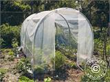 Polytunnel greenhouse 2x3x1.75 m, 6 m², PVC, Transparent