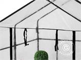 Polytunnel greenhouse XL, 1.43x1.43x1.95 m, Transparent