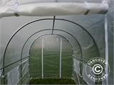 Estufa Túnel 2x3x2m, 6m², Transparente