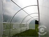 Polytunnel Greenhouse 3x6x2 m, 18 m², Transparent