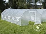 Polytunnel Greenhouse 3x8x2 m, 24 m², Transparent