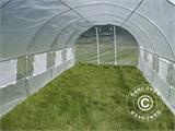 Polytunnel Greenhouse 4x8x2 m, 32 m², Transparent