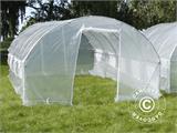 Polytunnel Greenhouse 4x6.6x2 m, 26.4 m², Transparent