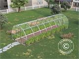 Greenhouse polycarbonate, Strong NOVA 24 m², 3x8 m, Silver