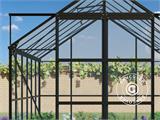 Gewächshaus aus Glas 2,44x3,68x2,34m mit Sockel, 8,97m², Schwarz