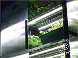Älykasvihuone/idätyslaatikko polykarbonaatti Sprout S6 4-Season, Harvst, 0,64x0,5x0,9m, Musta