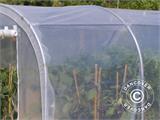Polytunnel Greenhouse 2x3x2 m, 6 m², Transparent