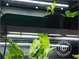Intelligent minidrivhus/propagator polycarbonat Sprout S24 4-Season, Harvst, 1,25x0,5x1,5m, Sort