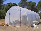 Polytunnel Greenhouse 3x7.5x2 m, 22.5 m², Transparent