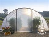 Polytunnel greenhouse 4.5x9x2.25 m, 40.5 m², Transparent