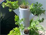 Torre per piante, SISSI STRAWBERRY, fioriera verticale, Bianco