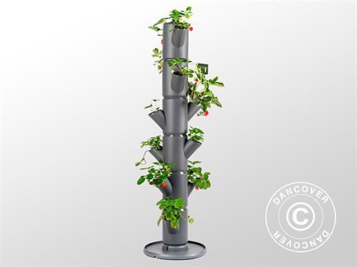 Plant tower, SISSI STRAWBERRY, vertical planter, Anthracite