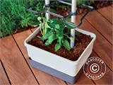 Planter, CHARLY CHILI, w/stake and water tank, Light Grey