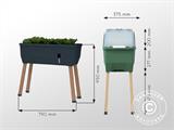 Raised bed, SAMMY SALAD, w/cover and water tank, Anthracite