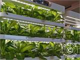 Cabina di coltivazione idroponica con LED, 0,77x0,4x1,7m, Bianco