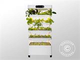 Hydroponic Grow Cabinet w/LED, 0.77x0.4x1.7 m, White