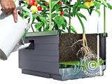 Planter box CityJungle incl. summer cover, self-watering box, 62x33x128 cm, Anthracite