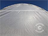 Polytunnel Greenhouse 3x5x2.5 m, Clear
