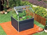 Mini Greenhouse PLANT INN, Palram/Canopia, 1.18x1.18x1.48 m, Clear